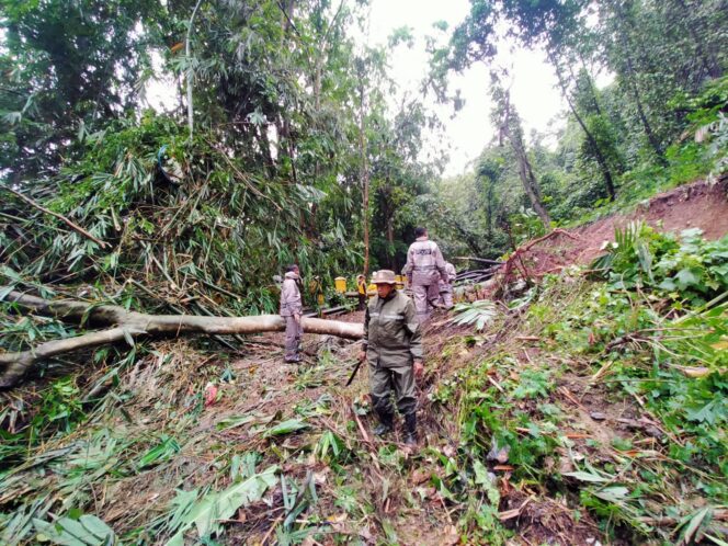 
 Petugas dan warga saat membersihkan puing tanah dan kayu di Jalan Serang-Gunung Sari usai terjadi longsong, Kamis 17 Agustus 2022. (IST)